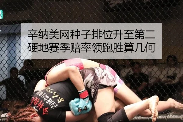 辛纳美网种子排位升至第二 硬地赛季赔率领跑胜算几何